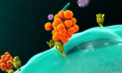 Κορονοϊός: Πώς οι μεταλλάξεις εξελίχθηκαν αντιστεκόμενες στις ιντερφερόνες στο ανοσοποιητικό σύστημα