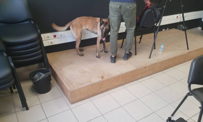 Άρης-Μακάμπι Τελ Αβίβ: Εκπαιδευμένοι σκύλοι έψαχναν για εκρηκτικά στο «Κλεάνθης Βικελίδης» (photos)