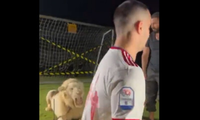 Κώστας Μανωλάς: «Βράζει» ο ιδιοκτήτης του λιονταριού με τον Έλληνα στόπερ (video)