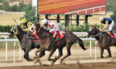 Τρία ΣΚΟΡ και 7 δυνατές ελληνικές κούρσες τη Δευτέρα στο Markopoulo Park