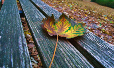 Ημερήσιες Προβλέψεις για όλα τα Ζώδια, 06/10
