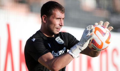 Ζίβκοβιτς: «Σίγουρα θα κάνει ένα comeback ο ΠΑΟΚ»