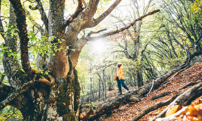 Ημερήσιες Προβλέψεις για όλα τα Ζώδια, 22/10