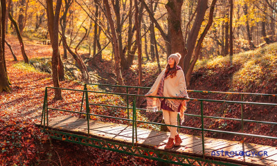 Ημερήσιες Προβλέψεις για όλα τα Ζώδια, 23/10