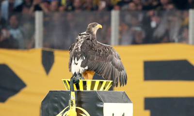 AEK-ΠΑΟΚ: Η πτήση του Οδυσσέα στο πρώτο ντέρμπι της OPAP Arena (video)