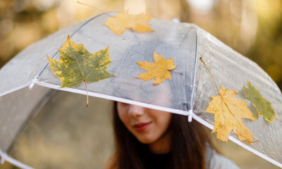 Ημερήσιες Προβλέψεις για όλα τα Ζώδια, 04/11