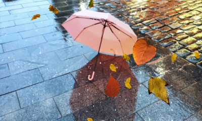 Ημερήσιες Προβλέψεις για όλα τα Ζώδια, 29/11