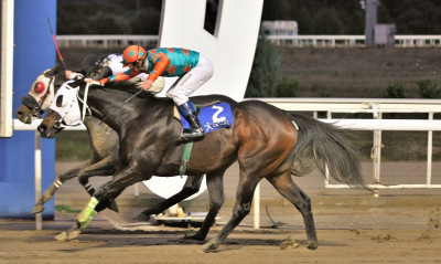 Markopoulo Park: Ένας νικητής στο ΣΚΟΡ 6 κέρδισε 15.426 ευρώ