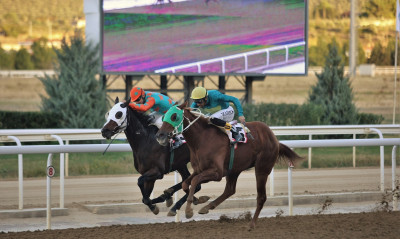 Τρία ΣΚΟΡ και 5 ελληνικές ιπποδρομίες τη Δευτέρα στο Markopoulo Park