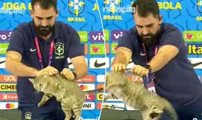 Μουντιάλ 2022: Η «σελεσάο» υιοθέτησε την γάτα της συνέντευξης Τύπου!