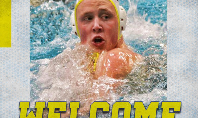 Περιστέρι: Ενίσχυση με Ναγκλ