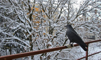 Καιρός: Πότε θα δούμε πραγματικό χειμώνα - Έρχεται πτώση της θερμοκρασίας