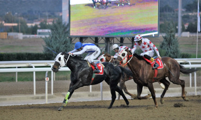 Επτά ιπποδρομίες και Κύπελλο 2023 τη Δευτέρα στο Markopoulo Park