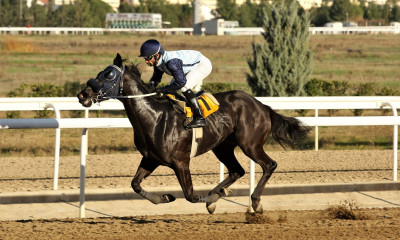 Markopoulo Park: Τζακ ποτ στο ΣΚΟΡ 6 μοιράζει τη Δευτέρα πάνω από 50.000 ευρώ