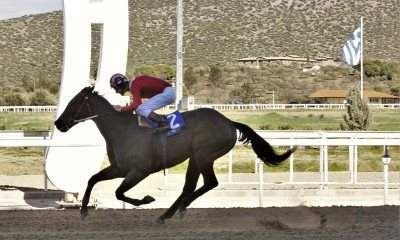 Markopoulo Park: Μεγάλα κέρδη μοίρασε το ΣΚΟΡ 6