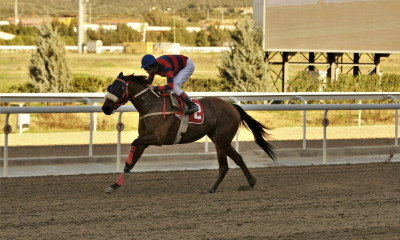 Επτά δυνατές ελληνικές ιπποδρομίες στο Markopoulo Park