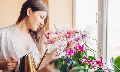 Ημερήσιες Προβλέψεις 30/03: Στη βράση κολλάει το σίδερο