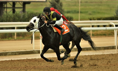 Markopoulo Park: Έξι ελληνικές ιπποδρομίες στη συγκέντρωση της Δευτέρας