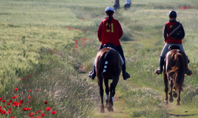 Ιππασία: Με μεγάλο ενδιαφέρον το Πρωτάθλημα και οι Διεθνείς Αγώνες ΙΑ στο Κιλκίς!