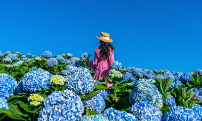 Προβλέψεις για όλα τα Ζώδια, 27/05: Πρώτα οι δουλειές