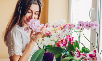 Προβλέψεις για όλα τα Ζώδια, 28/05: Στην πίεση