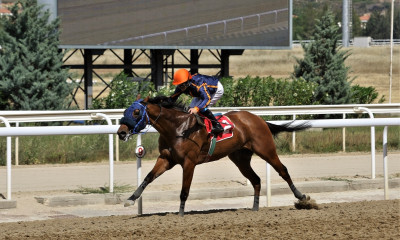 Markopoulo Park: 29 νικητές στο ΣΚΟΡ 6 κέρδισαν από 848 ευρώ