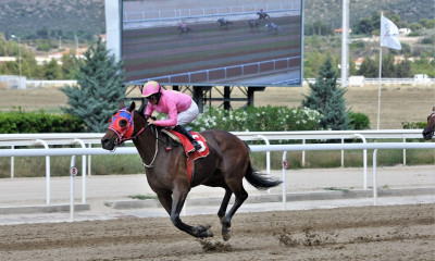 Markopoulo Park: Έξι νικητές στο ΤΕΤΡΑΠΛΟ κέρδισαν από 1.308 ευρώ