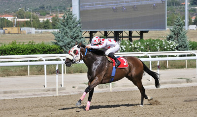 Markopoulo Park: Ένας νικητής στο Σύνθετο Δίδυμο κέρδισε 2.340 ευρώ