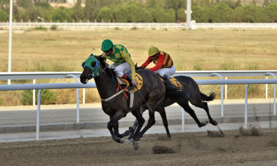 Markopoulo Park: Πάνω από 40.000 ευρώ μοιράζει τη Δευτέρα το τζακ ποτ στο ΣΚΟΡ 6
