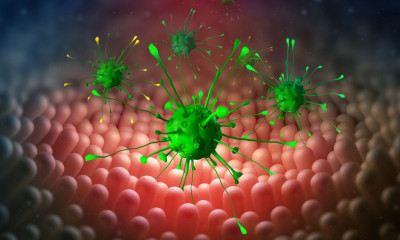 Βακτήρια εντέρου: Πώς συνδέονται με τον κίνδυνο εμφράγματος