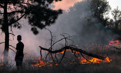 Πυρκαγιές: Οι ψυχολογικές επιπτώσεις σε ενήλικες, παιδιά και εφήβους