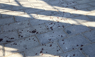 Επεισόδια στη Νέα Φιλαδέλφεια: «Ήμουν εκεί, ήρθαν για να σκοτώσουν», λέει μέλος συνδέσμου της ΑΕΚ