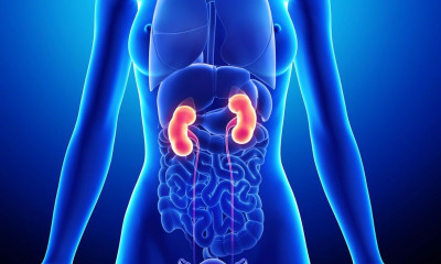 5 παθήσεις που απειλούν τα νεφρά