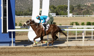 Markopoulo Park: Πέντε Ελληνικές Ιπποδρομίες και 3 ΣΚΟΡ στη συγκέντρωση της Δευτέρας