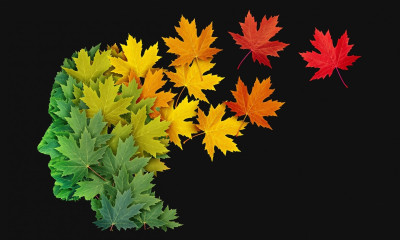 Αλτσχάιμερ: Η διατροφή που βελτιώνει τα συμπτώματα