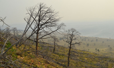 Ακραία καιρικά φαινόμενα: Οι επιπτώσεις στην ψυχική υγεία