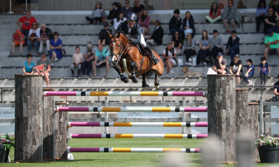 Ιππασία: Μεγάλος πρωταγωνιστής ο Τουλούπης στο Wiener Neustadt