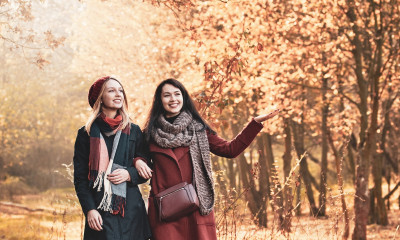 Προβλέψεις για όλα τα Ζώδια, 13/10: Πειθαρχημένη δράση