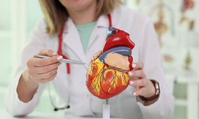 Τι συμβαίνει στην καρδιά και τις αρτηρίες μας καθώς γερνάμε