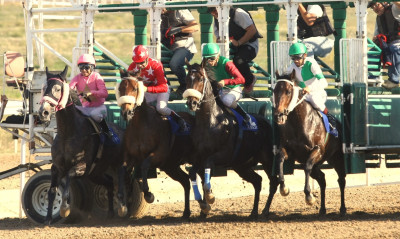 Markopoulo Park: Έξι ελληνικές κούρσες στη συγκέντρωση της Δευτέρας