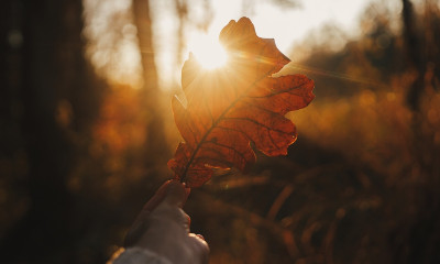 Προβλέψεις για όλα τα Ζώδια, 16/11: Προσοχή στις εξαπατήσεις