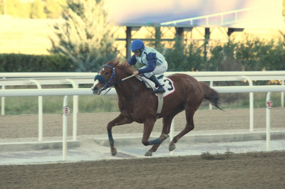 Ο ΡΕΒΑΜΠ και Παναγιώτης Δημητσάνης κατέκτησαν το Κύπελλο Μεγάλου Αλεξάνδρου στο Markopoulo Park