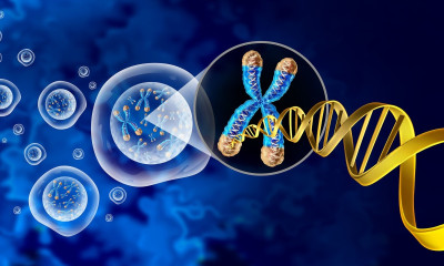 Σκλήρυνση κατά πλάκας: Ελπίδες από θεραπεία με βλαστοκύτταρα