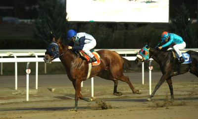 Markopoulo Park: Εντυπωσιακές αφίξεις με ανατροπές, 6 νικητές στο ΣΚΟΡ 6 κέρδισαν από 2.236 ευρώ