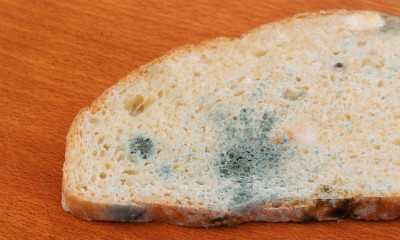 Μούχλα στις τροφές: Τι απαντούν οι ειδικοί ασφάλειας τροφίμων