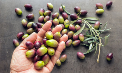 Καλά λιπαρά: Ποια και γιατί συμβάλλουν στη μακροζωία