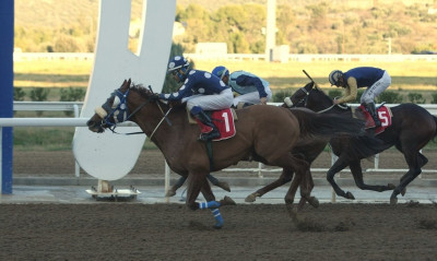 Markopoulo Park: Μεγάλα κέρδη μοίρασε το ΣΚΟΡ 6