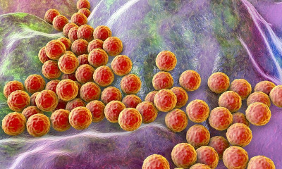 Σταφυλόκοκκος: Ποιοι είναι οι συχνότεροι τρόποι μετάδοσης