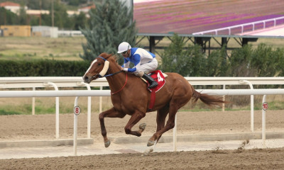 Markopoulo Park:7 κούρσες τη Δευτέρα σε αμιγώς ελληνικό πρόγραμμα με μεγάλο στοιχηματικό ενδιαφέρον