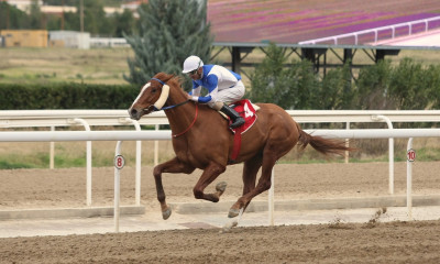 Markopoulo Park: 7 κούρσες τη Δευτέρα σε αμιγώς ελληνικό πρόγραμμα με μεγάλο στοιχηματικό ενδιαφέρον